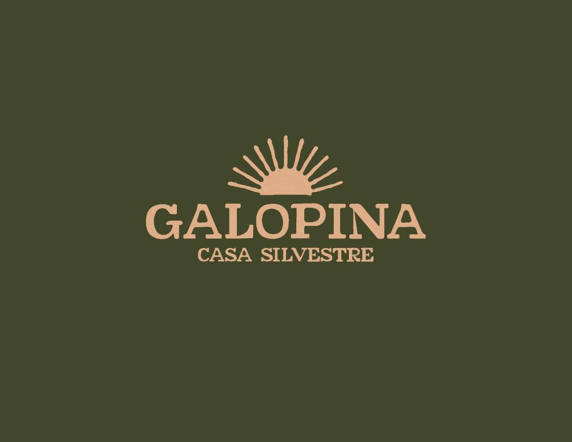Galopina Bed & Breakfast Seye Luaran gambar