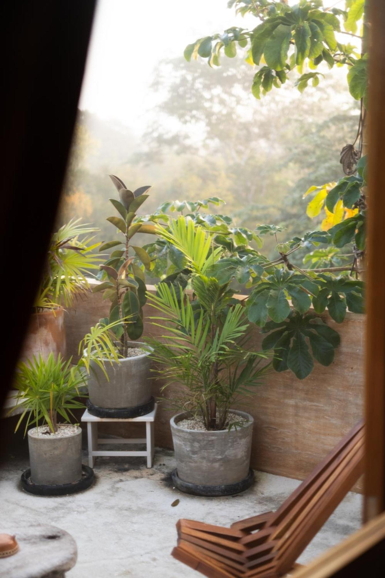 Galopina Bed & Breakfast Seye Luaran gambar